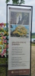 황악산수목원/ 쌍용회관07시출발회비60,000원 - ● 정기산행 ● 신청하기 ☞ - ♣춘천한일산악회♣ 제18회차/세자매트레킹/12월20일(토)... 