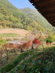 웨딩촬영산골초가에서 - ◈ 산 골 초 가 앨 범 ~ - 산골 초가집펜션, 산골 초가집펜션,