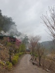 봄여행 - ◈ 산 골 초 가 앨 범 ~ - 산골 초가집펜션, 산골 초가집펜션,