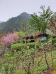 가족여행추천지 (영월산골초가펜션) - ◈ 산 골 초 가 앨 범 ~ - 산골 초가집펜션, 산골 초가집펜션,