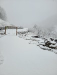 강원도영월산골초가눈소식 - ◈ 산 골 초 가 앨 범 ~ - 산골 초가집펜션, 산골 초가집펜션,