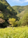 귀촌 (산골초가펜션 아들) - ◈ 산 골 초 가 앨 범 ~ - 산골 초가집펜션, 산골 초가집펜션,