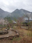 봄여행 - ◈ 산 골 초 가 앨 범 ~ - 산골 초가집펜션, 산골 초가집펜션,