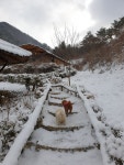 눈축제눈풍경 산속풍경 - ◈ 산 골 초 가 앨 범 ~ - 산골 초가집펜션, 산골 초가집펜션,