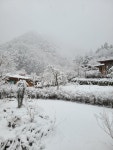 강원도영월산골초가눈소식 - ◈ 산 골 초 가 앨 범 ~ - 산골 초가집펜션, 산골 초가집펜션,