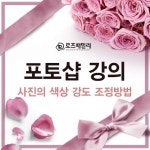 포토샵 강의-(사진의 색상 강도 조정방법) - adobe 포토샵 기초 강좌 - 장미가족의 포토샵교실 포토샵 강의-(사진의 색상 강도 조정방법)