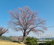 7월 1일 체크인일부터 숙박요금 인상이 있습니다 - 공지사항 - 하늘솔황토민박(하늘솔농원) 7월 1일 체크인일부터 숙박요금 인상이 있습니다