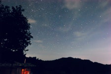 하늘솔 황토민박의 주인공은 겨울 보리! - 카페 앨범 - 하늘솔황토민박(하늘솔농원) 하늘솔 황토민박의 주인공은 겨울 보리!