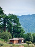 하늘솔 황토민박의 주인공은 겨울 보리! - 카페 앨범 - 하늘솔황토민박(하늘솔농원) 하늘솔 황토민박의 주인공은 겨울 보리!