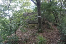 노적봉(287m)법구재봉(356m)황성(362m)주산(308m) 함지봉(387m)화악산(302m)/충남논산 - 산행기 - GPS 월드 노적봉(287m)법구재봉(356m)... 
