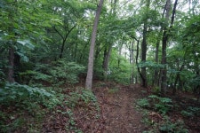 깃대봉(170)까치봉(189)김가마골산152안산194긴잔등이산232안산312둔봉산162장고개산100앞산84뒷산86벙거지산91/경기용인 - 산행기... 