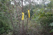 원대산.두리봉.삼선등이.긴등산.상봉.불붙는데산/경기광주... 된음달산.주봉.원대울산.원대산.두리봉.삼선등이.긴등산.상봉.불붙는데산/경기광주