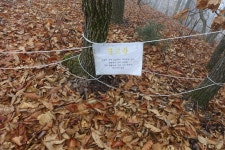 운암산(235m).돌탑전망대(215m).자웅산(수산264m).금병산(294m).도마산(154m)/경기 파주 - 경기도 - 안드로이드 gps & earth... 