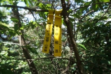 노적봉(287m)법구재봉(356m)황성(362m)주산(308m) 함지봉(387m)화악산(302m)/충남논산 - 산행기 - GPS 월드 노적봉(287m)법구재봉(356m)... 