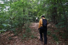 남산(279m) 모산(174m) 도리봉(144m)/ 충남 논산 양촌면 - 산행기 - GPS 월드 남산(279m) 모산(174m) 도리봉(144m)/ 충남 논산 양촌면