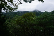 할애비산284동마성산334국수봉241장군봉289깃대봉227삼각점봉167... 할애비산284동마성산334국수봉241장군봉289깃대봉227삼각점봉167... 