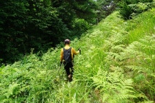 남산(279m) 모산(174m) 도리봉(144m)/ 충남 논산 양촌면 - 산행기 - GPS 월드 남산(279m) 모산(174m) 도리봉(144m)/ 충남 논산 양촌면