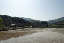 벌라이산205 안칭골산335깃대봉(132△이천162) 자지봉233 종종모래이산67 마오산195마명산206/경기양평 - 경기도 - 안드로이드 gps... 