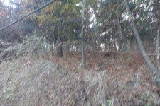 통매산(54m). 푸링산(217m)/경기 성남 - 산행기 - GPS 월드 통매산(54m). 푸링산(217m)/경기 성남