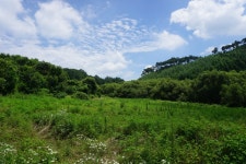 내황산(492m) 질마재(470m) 수양산(533m)/충북괴산 - 충청도 - 안드로이드 gps & earth 안드로이드 gps & earth