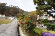 경북구미김천 - 산행기 - GPS 월드 깃대봉190평성산118다봉산333북봉산389안의봉172무장산159탱자봉167덤바우산204/경북구미김천