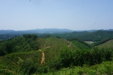 (125m)/충남예산 - 산행기 - GPS 월드 고모래봉(77)상봉(134m)산제봉(117m)강남봉(153m)국사봉(245m)달갈봉(212m)만수봉(234m)국사봉... 
