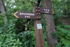 깃대봉(170)까치봉(189)김가마골산152안산194긴잔등이산232안산312둔봉산162장고개산100앞산84뒷산86벙거지산91/경기용인 - 산행기... 