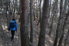 매봉[1](635m)매봉[2](677m)시루봉(679m)구추봉(633m)체기산(507m)회기산(542m)지내날(533m) /전북장수 - ☞ 최근산(여)행기는 여기에..... 