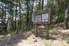 금성산(金城山530m).영니산(盈尼山502m).비봉산(飛鳳山671m)/경북의성 - 산행기 - GPS 월드 금성산(金城山530m).영니산(盈尼山502m)... 