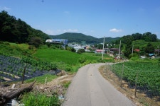 매봉산(109m) 성안성(75m)청명산(157m)/경기화성 - 산행기 - GPS 월드 매봉산(109m) 성안성(75m)청명산(157m)/경기화성