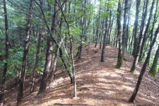 수리봉(470m). 전치봉(458m). 구만산(463m). 구만산(331m)/강원 춘천/홍천 - 산행기 - GPS 월드 수리봉(470m). 전치봉(458m). 구만산(463m)... 