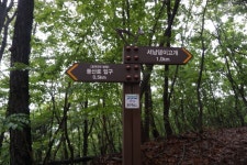 깃대봉(170)까치봉(189)김가마골산152안산194긴잔등이산232안산312둔봉산162장고개산100앞산84뒷산86벙거지산91/경기용인 - 산행기... 