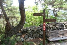 금성산(金城山530m).영니산(盈尼山502m).비봉산(飛鳳山671m)/경북의성 - 산행기 - GPS 월드 금성산(金城山530m).영니산(盈尼山502m)... 