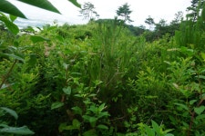 노적봉(287m)법구재봉(356m)황성(362m)주산(308m) 함지봉(387m)화악산(302m)/충남논산 - 산행기 - GPS 월드 노적봉(287m)법구재봉(356m)... 