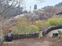 선거 공약 단상 - 청담 이야기 - 축령산 휴림(休林) 선거 공약 단상