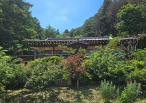 홍천군 서면 숲속분위기 통나무한옥주택 23평 월세임대 1,000만원/50만원 - ―홍천,횡성 토지/주택 - 양평땅과 전원주택 홍천군 서면... 