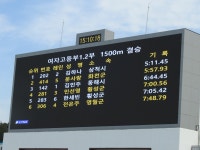 61회 도민체전 경기(2026.삼척)(4) - ◐ 강원도민체육대회 - 강원도육상연맹 61회 도민체전 경기(2026.삼척)(4)