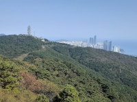 자유리 수9130 하산주길에 - 자유리(정순율)님 작품방 - 엔카부산마을 자유리 수9130 하산주길에