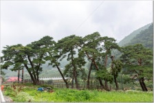 2022년 12월 송년산행 공지 [마분봉 & 악휘봉] (충북/괴산) - ···─━★ 정기산행♡공지 - 김포MVP산악회 2022년 12월 송년산행 공지 [마분봉... 