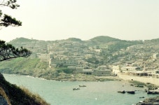 용호농장 이야기 - 그때 그시절 - 학장동본심회 용호농장 이야기