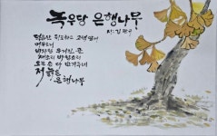 시화전 - 조약도완도 전용방 - 백년 건강==http://cafe.daum.net/c1c1b1b1 시화전