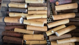 나무찜 - 자연물만들기 - 진선이의 소품이야기 나무찜