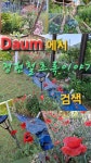 오월의 풍경 Korean countryside in May - ┏상동마을┓ - 정현철초록이야기 오월의 풍경 Korean countryside in May