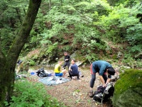 지장산:큰골계곡 - 산행 후기,여행 후기 - 도보여행(섬&산) 좋은사람들--버스매일출발 지장산:큰골계곡