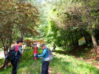 두위봉:도사곡휴양림 - ●-100대명산 산행기+사진실 - 자유인산악회(☎02-834-1777) 두위봉:도사곡휴양림