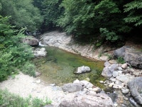 지장산:큰골계곡 - 산행 후기,여행 후기 - 도보여행(섬&산) 좋은사람들--버스매일출발 지장산:큰골계곡