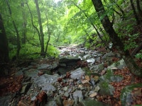 잠두산.백석산:던지골 - 산행 후기,여행 후기 - 도보여행(섬&산) 좋은사람들--버스매일출발 잠두산.백석산:던지골