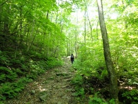 두위봉:도사곡휴양림 - ●-100대명산 산행기+사진실 - 자유인산악회(☎02-834-1777) 두위봉:도사곡휴양림