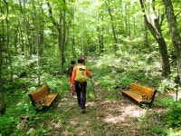 두위봉:도사곡휴양림 - ●-100대명산 산행기+사진실 - 자유인산악회(☎02-834-1777) 두위봉:도사곡휴양림