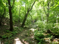 두위봉:도사곡휴양림 - ●-100대명산 산행기+사진실 - 자유인산악회(☎02-834-1777) 두위봉:도사곡휴양림